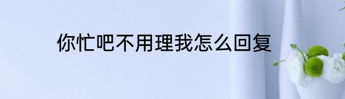 你忙吧不用理我怎么回复