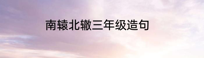 南辕北辙三年级造句