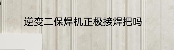 逆变二保焊机正极接焊把吗