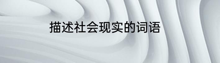 描述社会现实的词语