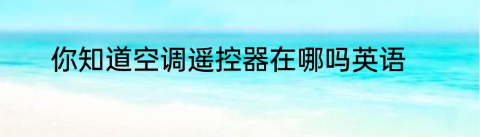 你知道空调遥控器在哪吗英语