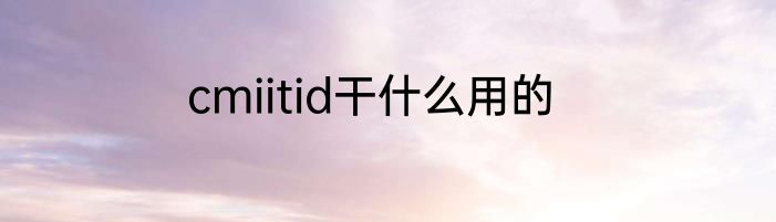 cmiitid干什么用的