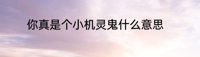 你真是个小机灵鬼什么意思