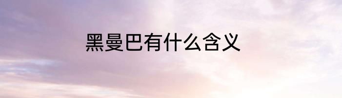 黑曼巴有什么含义