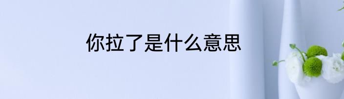 你拉了是什么意思