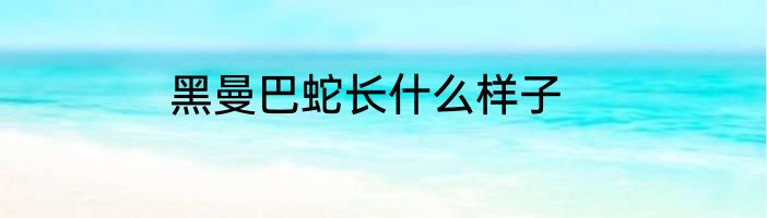 黑曼巴蛇长什么样子