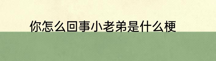 你怎么回事小老弟是什么梗