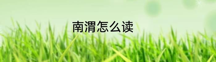 南渭怎么读