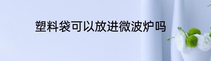塑料袋可以放进微波炉吗