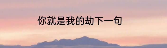 你就是我的劫下一句