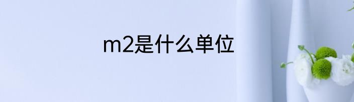 m2是什么单位