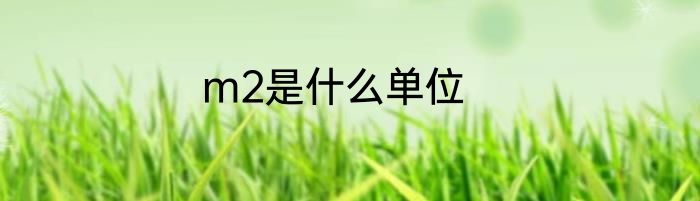 m2是什么单位