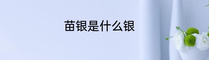 苗银是什么银