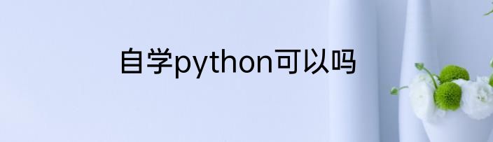 自学python可以吗