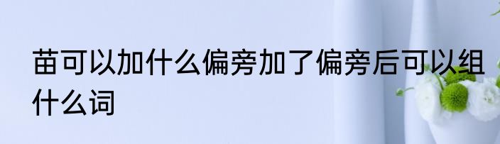 苗可以加什么偏旁加了偏旁后可以组什么词