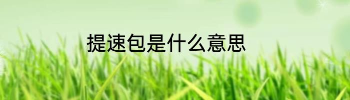 提速包是什么意思