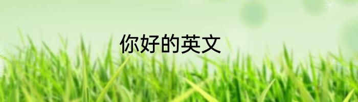 你好的英文