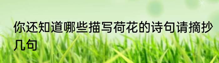 你还知道哪些描写荷花的诗句请摘抄几句