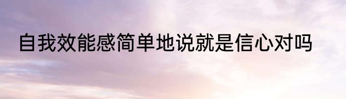 自我效能感简单地说就是信心对吗