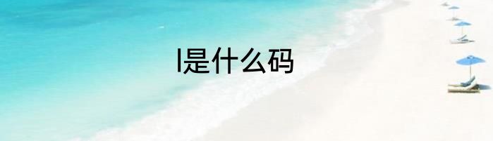 l是什么码