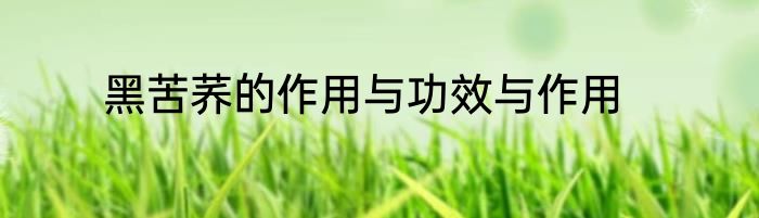 黑苦荞的作用与功效与作用