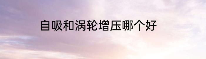 自吸和涡轮增压哪个好