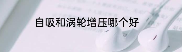 自吸和涡轮增压哪个好