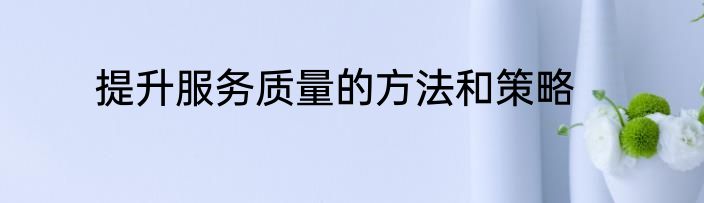 提升服务质量的方法和策略