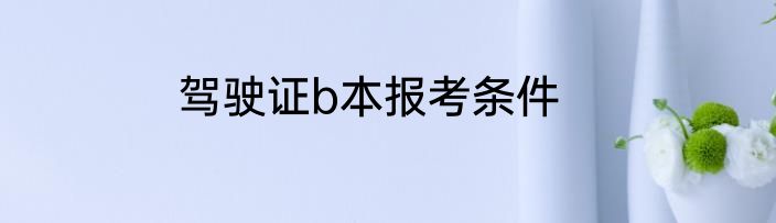 驾驶证b本报考条件