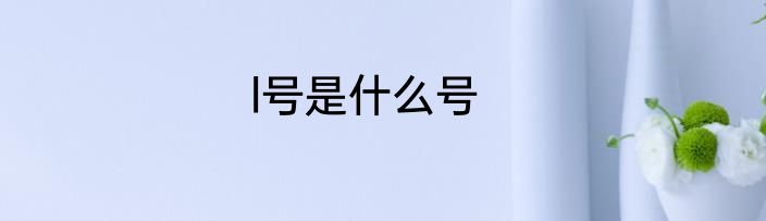 l号是什么号