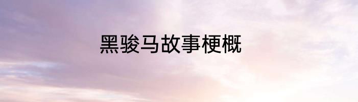 黑骏马故事梗概