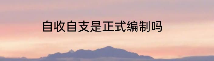 自收自支是正式编制吗
