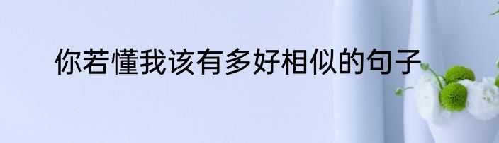 你若懂我该有多好相似的句子