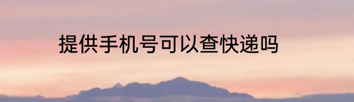 提供手机号可以查快递吗