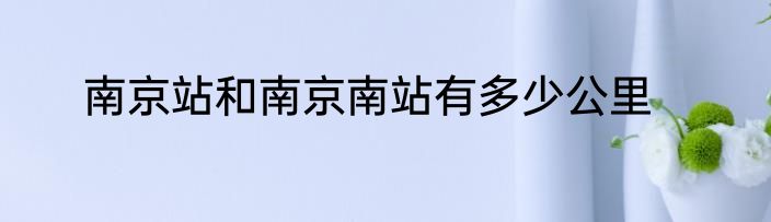 南京站和南京南站有多少公里