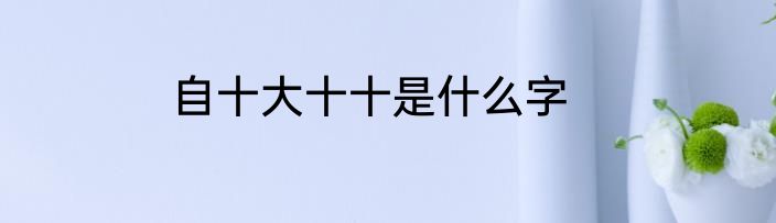 自十大十十是什么字