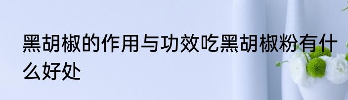 黑胡椒的作用与功效吃黑胡椒粉有什么好处