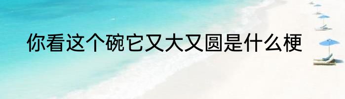 你看这个碗它又大又圆是什么梗