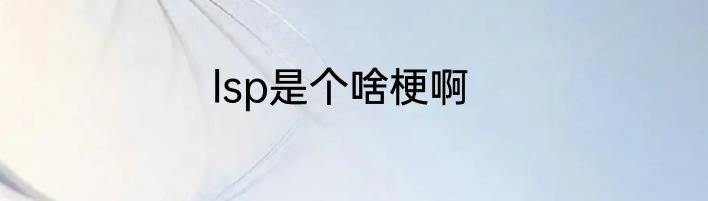 lsp是个啥梗啊