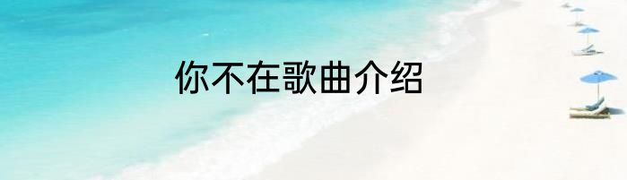 你不在歌曲介绍