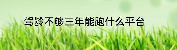 驾龄不够三年能跑什么平台