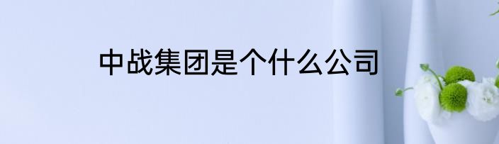 中战集团是个什么公司