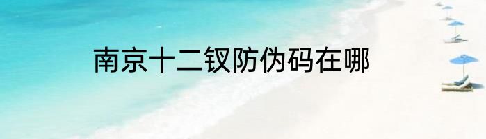 南京十二钗防伪码在哪