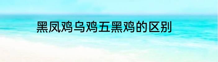 黑凤鸡乌鸡五黑鸡的区别