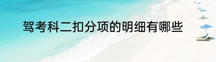 驾考科二扣分项的明细有哪些