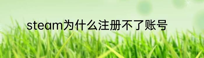 steam为什么注册不了账号