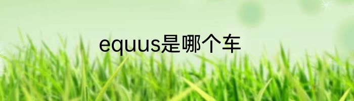 equus是哪个车