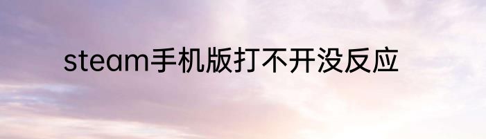 steam手机版打不开没反应