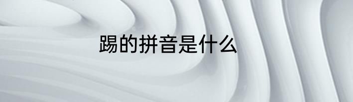 踢的拼音是什么