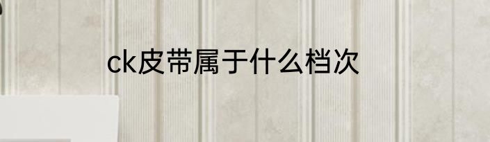 ck皮带属于什么档次